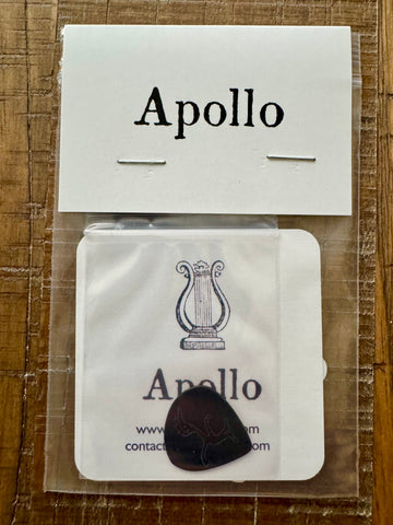 Bill Frisell - Apollo Hand-made Guitar Pick