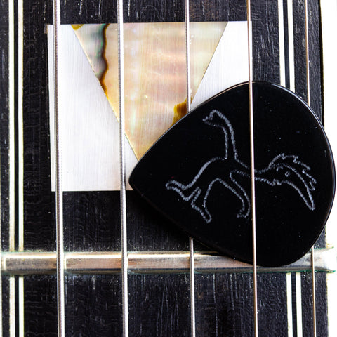 Bill Frisell - Apollo Hand-made Guitar Pick
