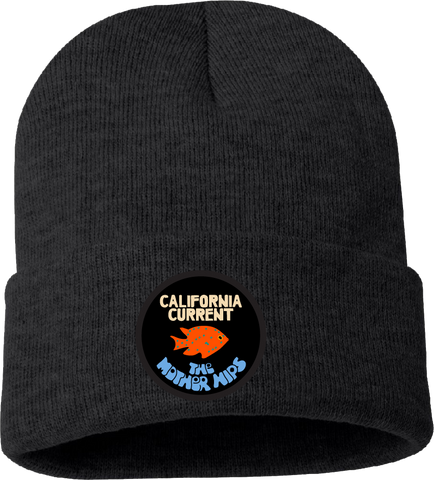 Mother Hips California Current Beanie