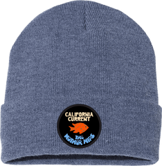 Mother Hips California Current Beanie