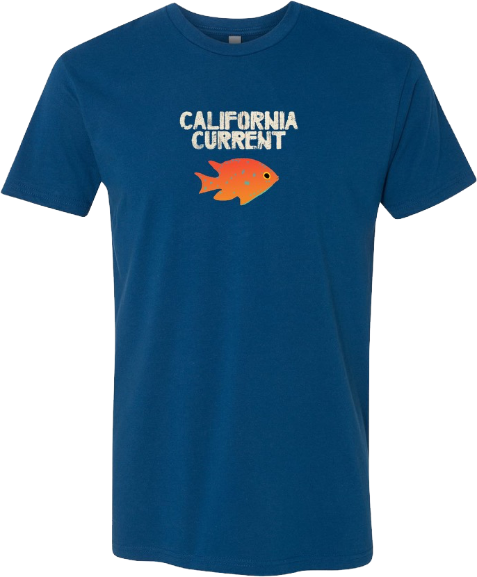 The Mother Hips 'California Current' T-Shirt