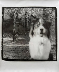 Bill Frisell - Limited Edition Photo Prints by Michael Wilson (AUTOGRAPHED)