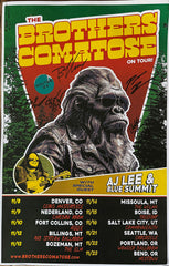 The Brothers Comatose - Winter Tour 2024 Signed Poster